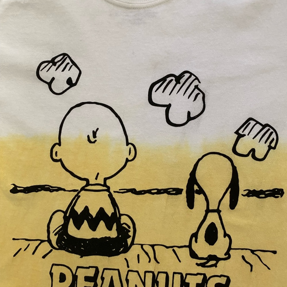 Peanuts Charlie Brown & Snoopy Short Sleeve Raw Hem Crop T-Shirt Top Siz… - Picture 3 of 9
